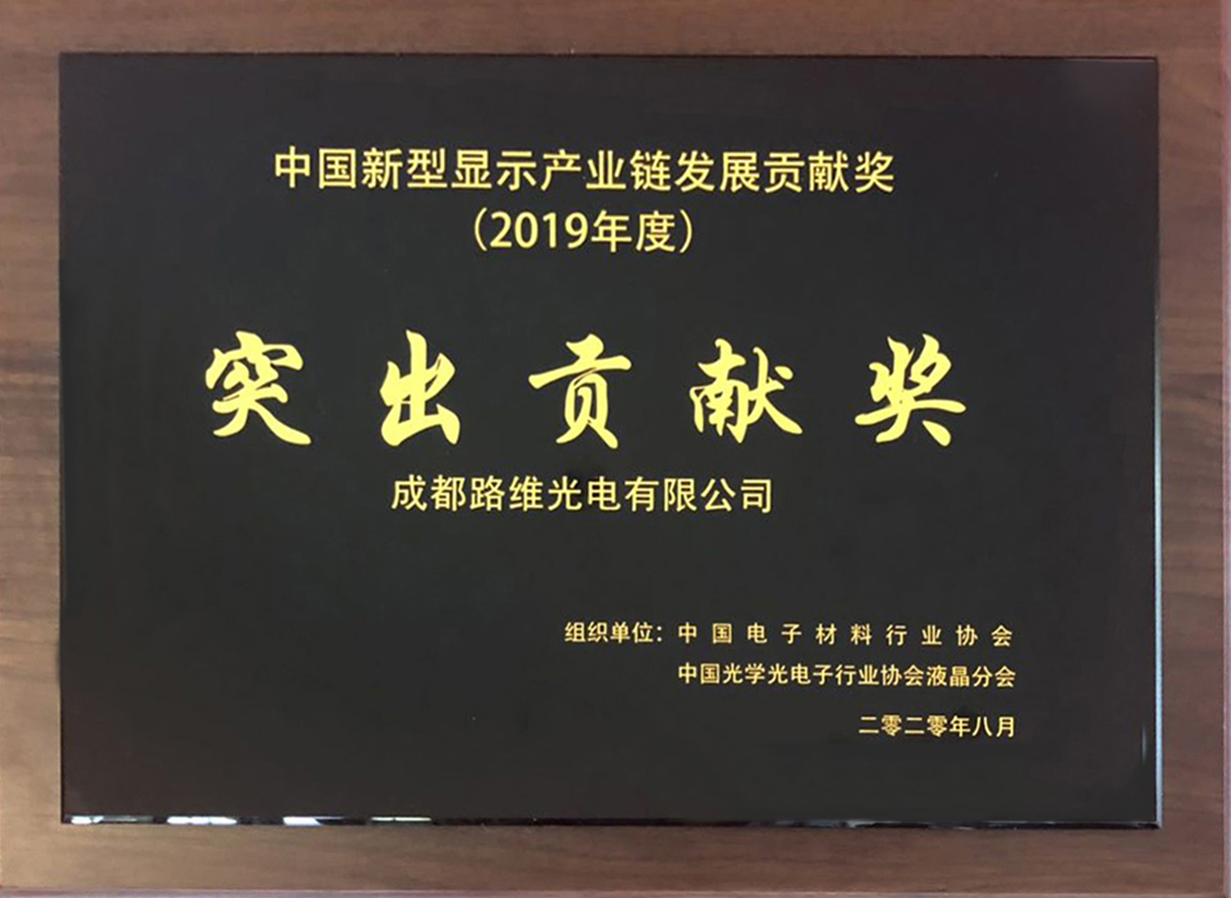 中国新型显示产业链发展贡献奖（2019）突出贡献奖